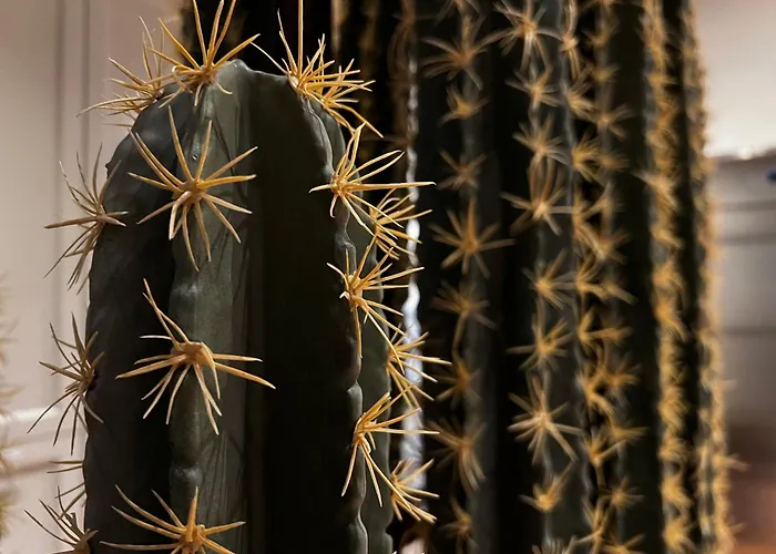 Porta Nera Private Living - Adults Only