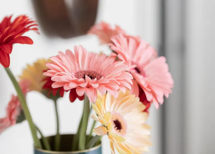 Porta Nera Private Living - Adults Only Hotel 3*